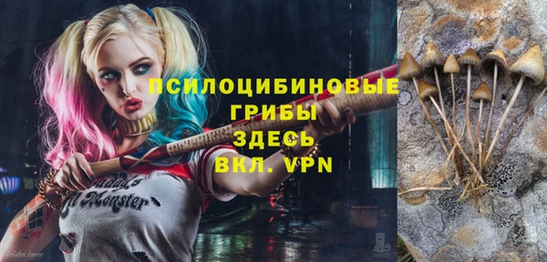 а пвп мука Горно-Алтайск