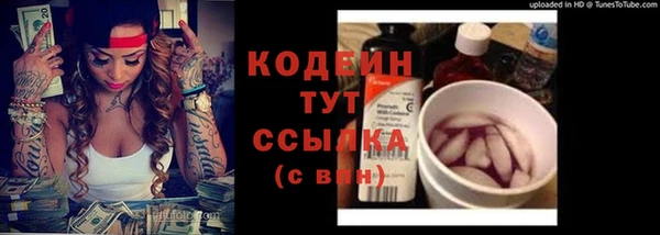 ПСИЛОЦИБИНОВЫЕ ГРИБЫ Горняк