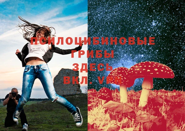 mdma Вяземский