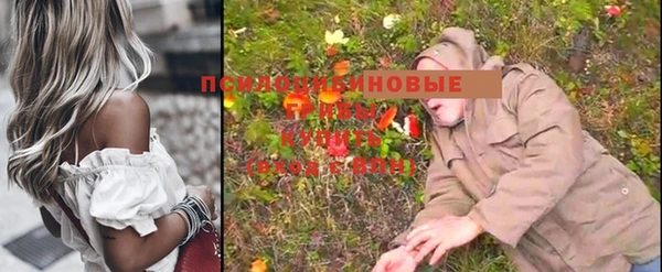а пвп мука Горно-Алтайск