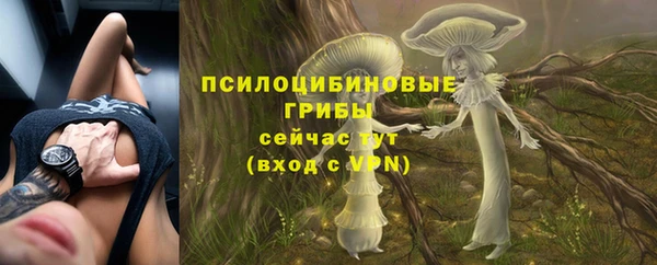 ПСИЛОЦИБИНОВЫЕ ГРИБЫ Горняк