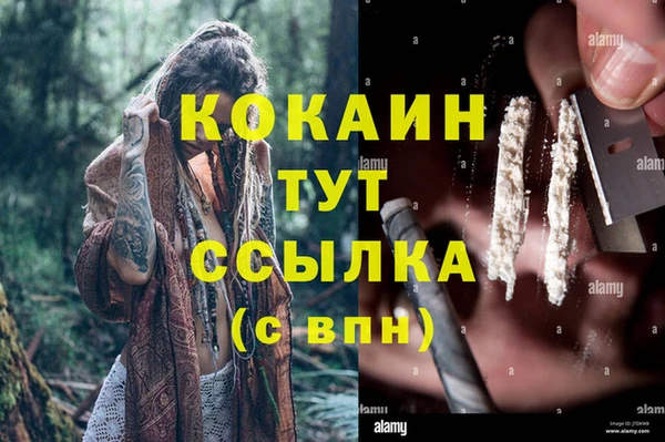 ПСИЛОЦИБИНОВЫЕ ГРИБЫ Горняк